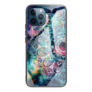 For iPhone 13 Pro Max Tempered Glass + TPU Border Protective Case (Mandala)
