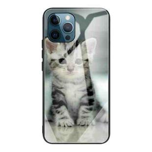 For iPhone 13 Pro Colorful Painted Glass Shockproof Protective Case (Cute Cat)