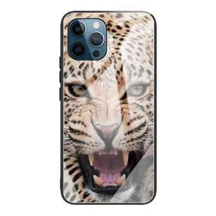 For iPhone 13 Pro Colorful Painted Glass Shockproof Protective Case (Leopard)