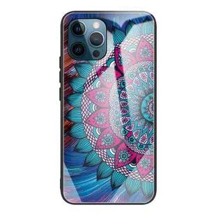 For iPhone 13 Pro Colorful Painted Glass Shockproof Protective Case (Mandala)