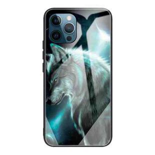 For iPhone 13 Pro Colorful Painted Glass Shockproof Protective Case (Wolf)