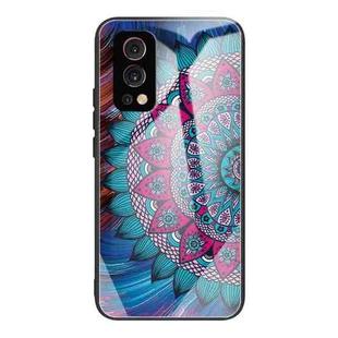 Colorful Painted Glass Shockproof Protective Case For OnePlus Nord 2 5G(Mandala)