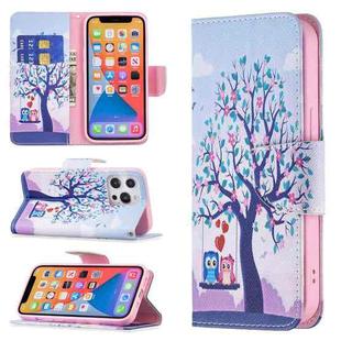 For iPhone 13 Pro Max Colored Drawing Pattern Horizontal Flip Leather Case with Holder & Card Slots & Wallet (Two Owls)