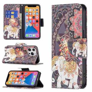For iPhone 13 Pro Max Colored Drawing Pattern Horizontal Flip Leather Case with Holder & Card Slots & Wallet (Flowers and Elephant)