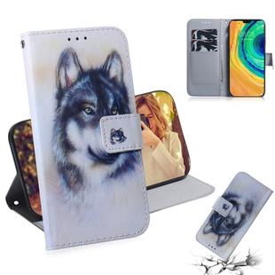 For Huawei Mate 30 / 5G Coloured Drawing Pattern Horizontal Flip PU Leather Case with Holder & Card Slots & Wallet(White Wolf)