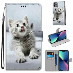 For iPhone 13 mini Coloured Drawing Cross Texture Horizontal Flip PU Leather Case with Holder & Card Slots & Wallet & Lanyard (Small Gray Cat)