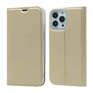 For iPhone 13 Pro Magnetic Suction Electric Pressed Horizontal Flip Leather Case with Holder (Gold)
