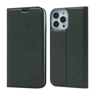 For iPhone 13 Pro Magnetic Suction Electric Pressed Horizontal Flip Leather Case with Holder (Grey)