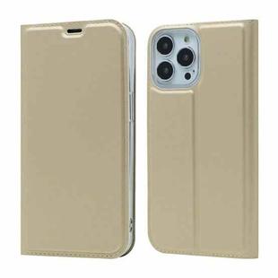 For iPhone 13 Pro Max Magnetic Suction Electric Pressed Horizontal Flip Leather Case with Holder (Gold)