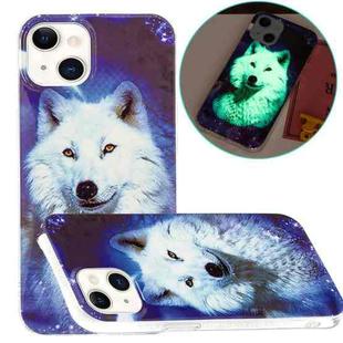 For iPhone 13 Luminous TPU Soft Protective Case(Starry Sky Wolf)
