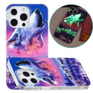 For iPhone 13 Pro Max Luminous TPU Soft Protective Case (Seven Wolves)