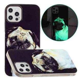 For iPhone 13 Pro Luminous TPU Pattern Soft Protective Case (Glasses Dog)