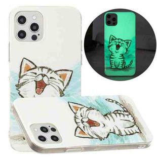 For iPhone 13 Pro Luminous TPU Pattern Soft Protective Case (Happy Cat)
