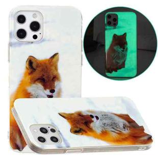 For iPhone 13 Pro Max Luminous TPU Pattern Soft Protective Case (White Fox)