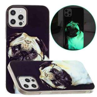 For iPhone 12 Pro Max Luminous TPU Pattern Soft Protective Case(Glasses Dog)