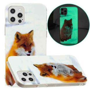 For iPhone 12 Pro Max Luminous TPU Pattern Soft Protective Case(White Fox)