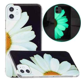 For iPhone 11 Luminous TPU Pattern Soft Protective Case (Daisies)