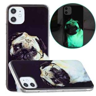 For iPhone 11 Luminous TPU Pattern Soft Protective Case (Glasses Dog)