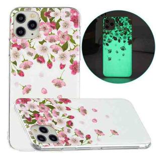 For iPhone 11 Pro Max Luminous TPU Pattern Soft Protective Case (Cherry Blossoms)