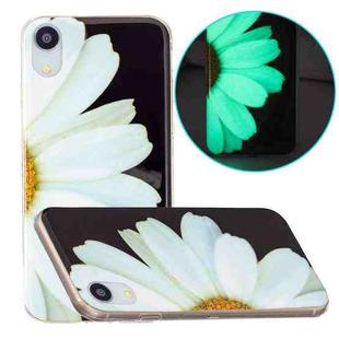 For iPhone XR Luminous TPU Pattern Soft Protective Case(Daisies)