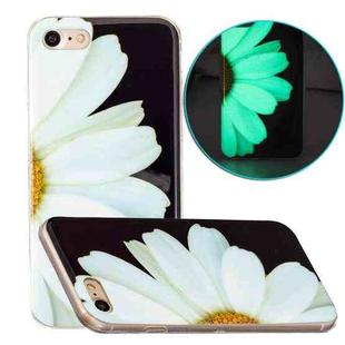 For iPhone SE 2022 / SE 2020 / 8 / 7 Luminous TPU Pattern Soft Protective Case(Daisies)