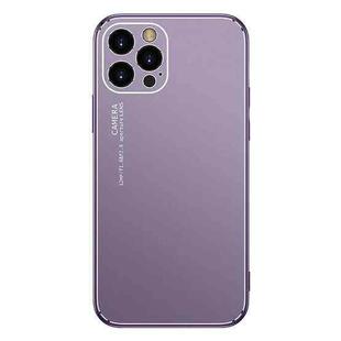 Cool Frosted Metal TPU Shockproof Case For iPhone 12 mini(Purple)