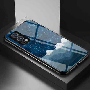 For OnePlus Nord 2 5G Starry Sky Painted Tempered Glass TPU Shockproof Protective Case(Star Chess Rob)