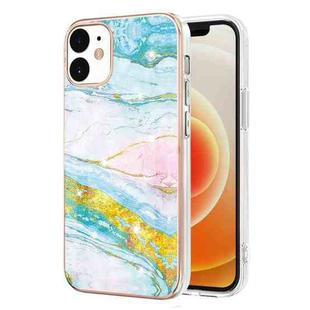 For iPhone 12 / 12 Pro Electroplating Marble Pattern Dual-side IMD TPU Shockproof Case(Green 004)