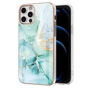 For iPhone 12 Pro Max Electroplating Marble Pattern Dual-side IMD TPU Shockproof Case(Green 003)