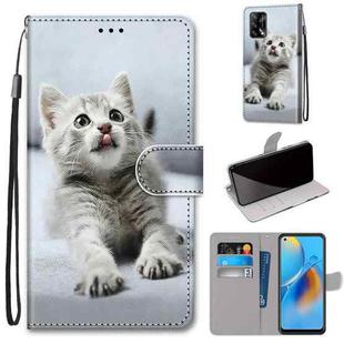 For OPPO A74 4G / F19 Coloured Drawing Cross Texture Horizontal Flip PU Leather Case with Holder & Card Slots & Wallet & Lanyard(Small Gray Cat)