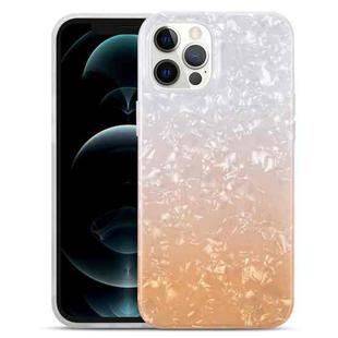 For iPhone 13 Pro Max Gradient Color Shell Texture IMD TPU Shockproof Case (Gradient White Orange)