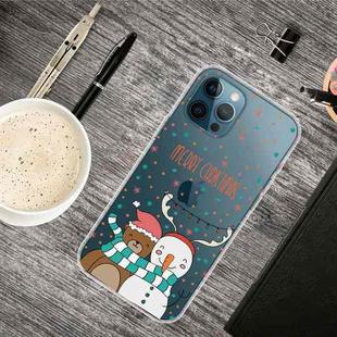 For iPhone 13 Pro Christmas Series Transparent TPU Protective Case (Take Picture Bear Snowman)