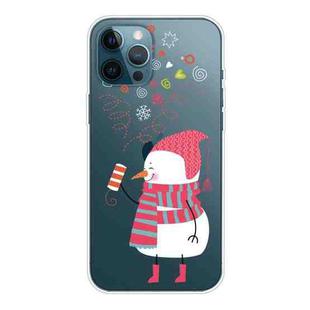 For iPhone 13 Pro Max Christmas Series Transparent TPU Protective Case (Fireworks and Snowmen)
