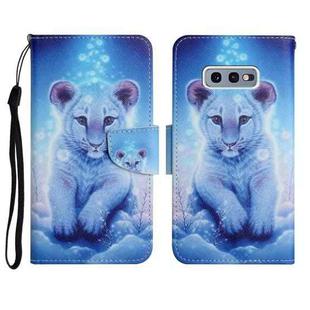 For Samsung Galaxy S10e Painted Pattern Horizontal Flip Leather Case with Holder & Card Slot & Wallet(Little Leopard)
