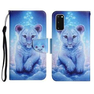 For Samsung Galaxy S20 Painted Pattern Horizontal Flip Leather Case with Holder & Card Slot & Wallet(Little Leopard)