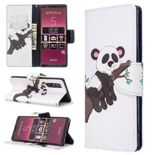 For Sony Xperia 5 /  XZ5 Colored Drawing Pattern Horizontal Flip Leather Case with Holder & Card Slots & Wallet(Tree Panda)