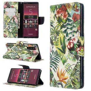 For Sony Xperia 5 / XZ5 3D Colored Drawing Pattern Horizontal Flip Leather Case, with Holder & Card Slots & Wallet(Banana Leaf)