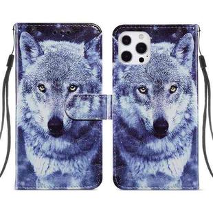 For iPhone 13 Pro Painted Pattern Horizontal Flip Leather Case with Holder & Card Slots & Photo Frame (White Wolf)