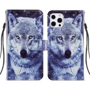 For iPhone 13 Pro Max Painted Pattern Horizontal Flip Leather Case with Holder & Card Slots & Photo Frame (White Wolf)