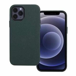 For iPhone 12 mini Litchi Texture Cowhide Leather Back Cover Full-wrapped Shockproof Case (Green)