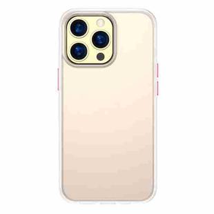 For iPhone 13 Pro TOTUDESIGN AA-178 Gingle Series Translucent Matte PC + TPU Phone Case (Translucent)