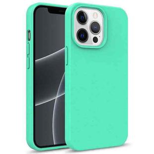 mocolo K09 Wheat Straw Shockproof TPU Phone Protective Case For iPhone 13 mini(Green)