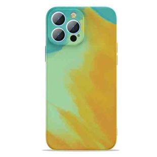Watercolor TPU Shockproof Phone Case For iPhone 13 Pro Max(Autumn Yellow)