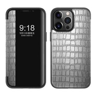 For iPhone 13 Pro Crocodile Texture Windows View Horizontal Flip Leather Case (Silver)