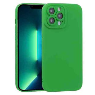 For iPhone 13 Pro Max TPU Oil-sprayed Soft Phone Case (Green)