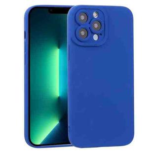 For iPhone 13 Pro Max TPU Oil-sprayed Soft Phone Case (Blue)