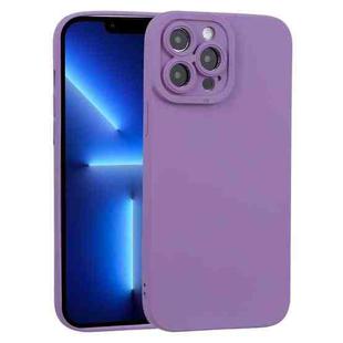 For iPhone 13 Pro TPU Oil-sprayed Soft Phone Case (Purple)