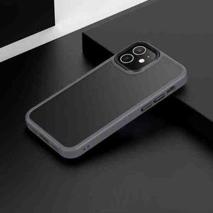 For iPhone 12 mini Frosted Back Shockproof Phone Case (Grey)