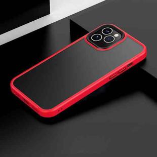 For iPhone 12 / 12 Pro Frosted Back Shockproof Phone Case(Red)