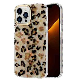 For iPhone 13 Electroplating Shell Texture Phone Case(Leopard Y4)